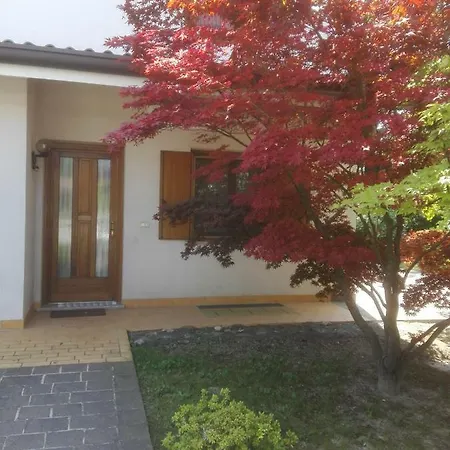 Affittacamere Nerio Guest house *